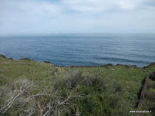 zzena-30-03-2013 12-56-14